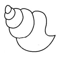 Seashell Coloring Page Seashell Coloring Pages Preschool Sea Shell