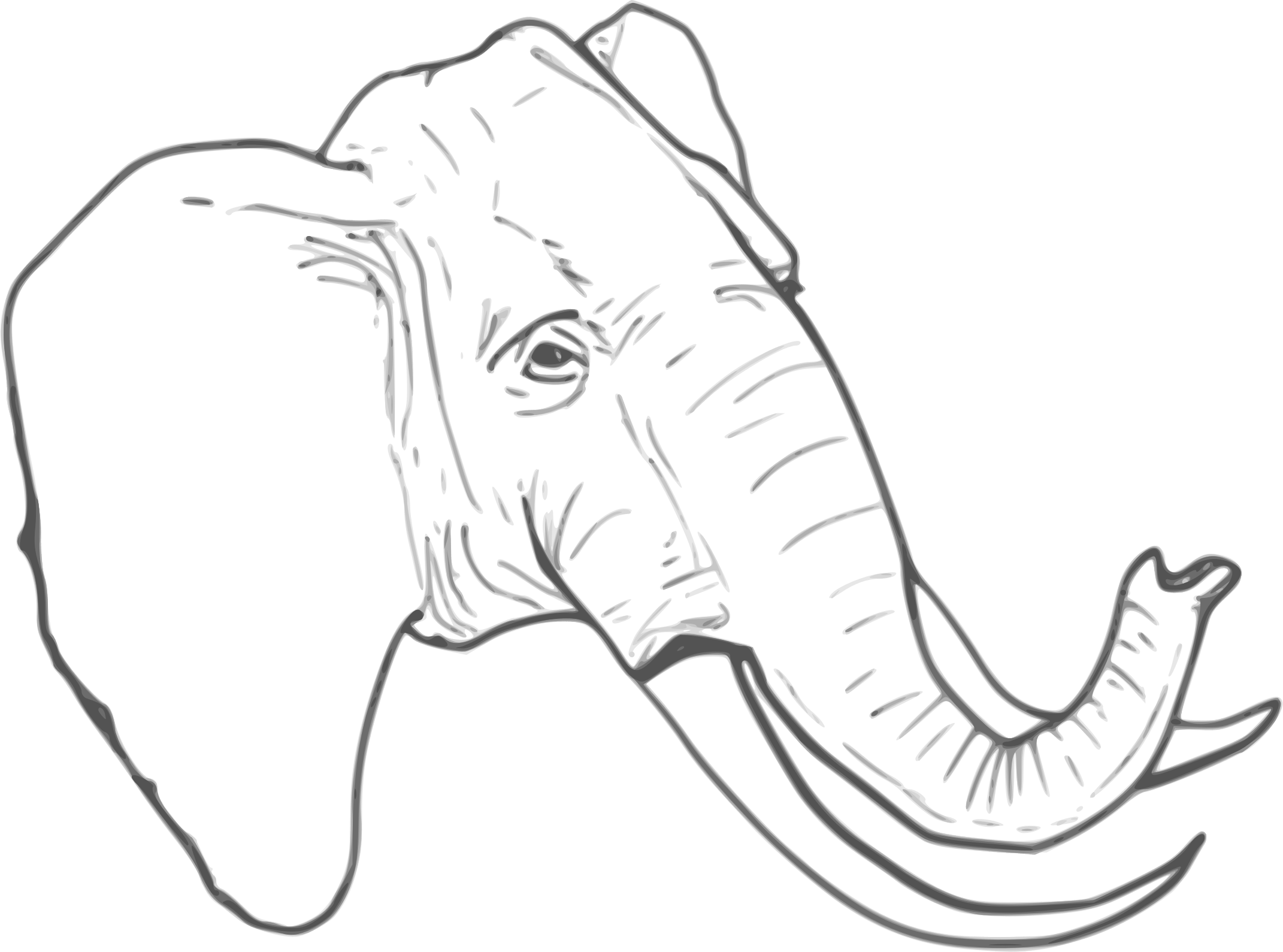 Elephant Line Drawing Cliparts.co