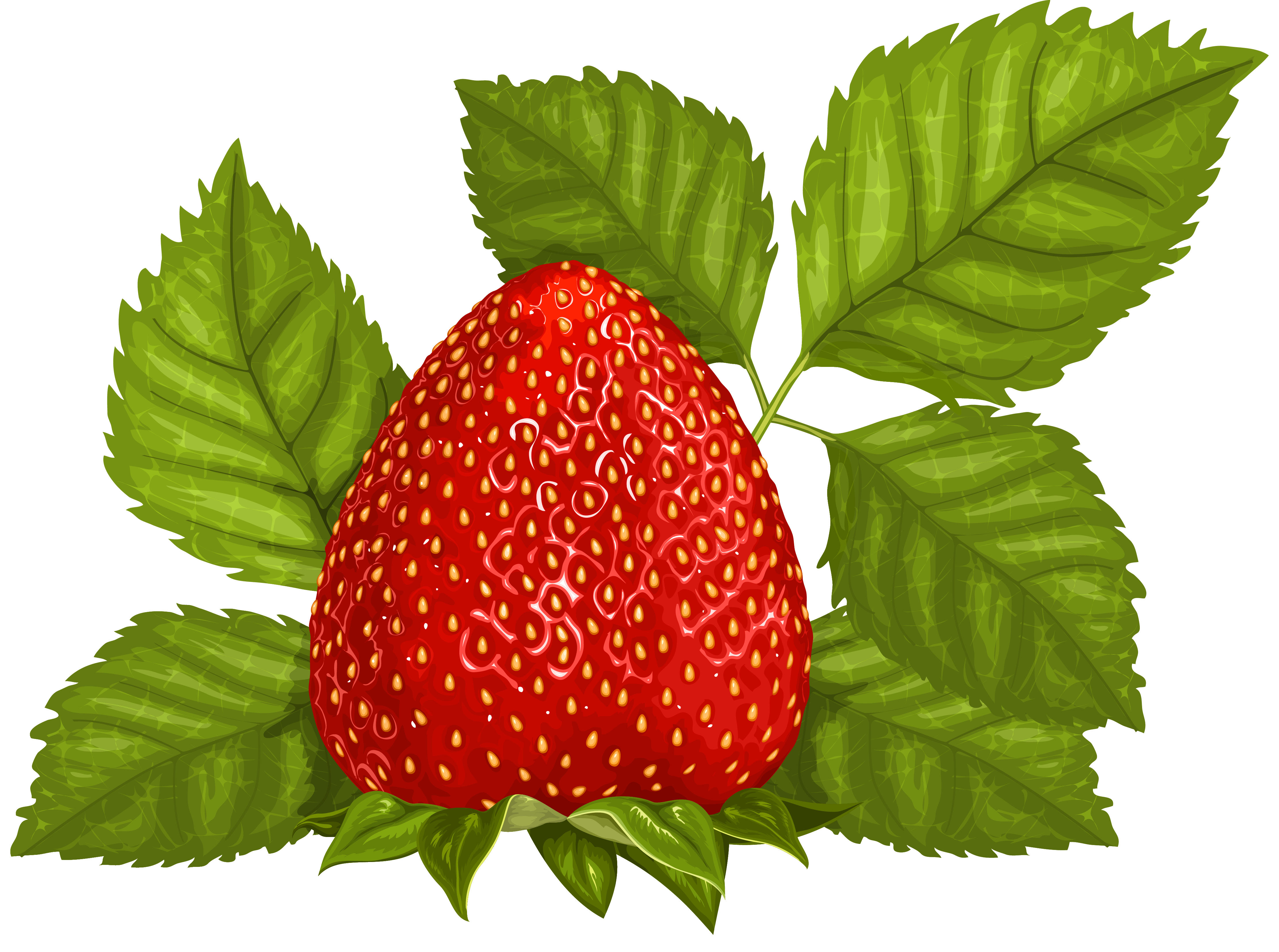 Clipart Leaf Strawberry Clipart Leaf Strawberry Transparent Free For
