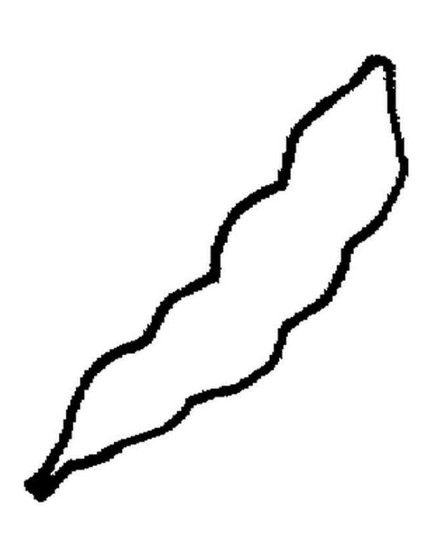 String Bean Clip Art Cliparts.co