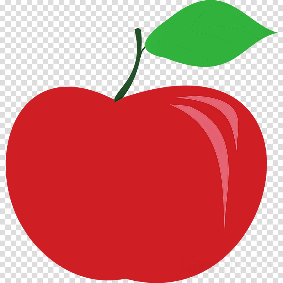 apple clipart without leaf 10 free Cliparts Download images on