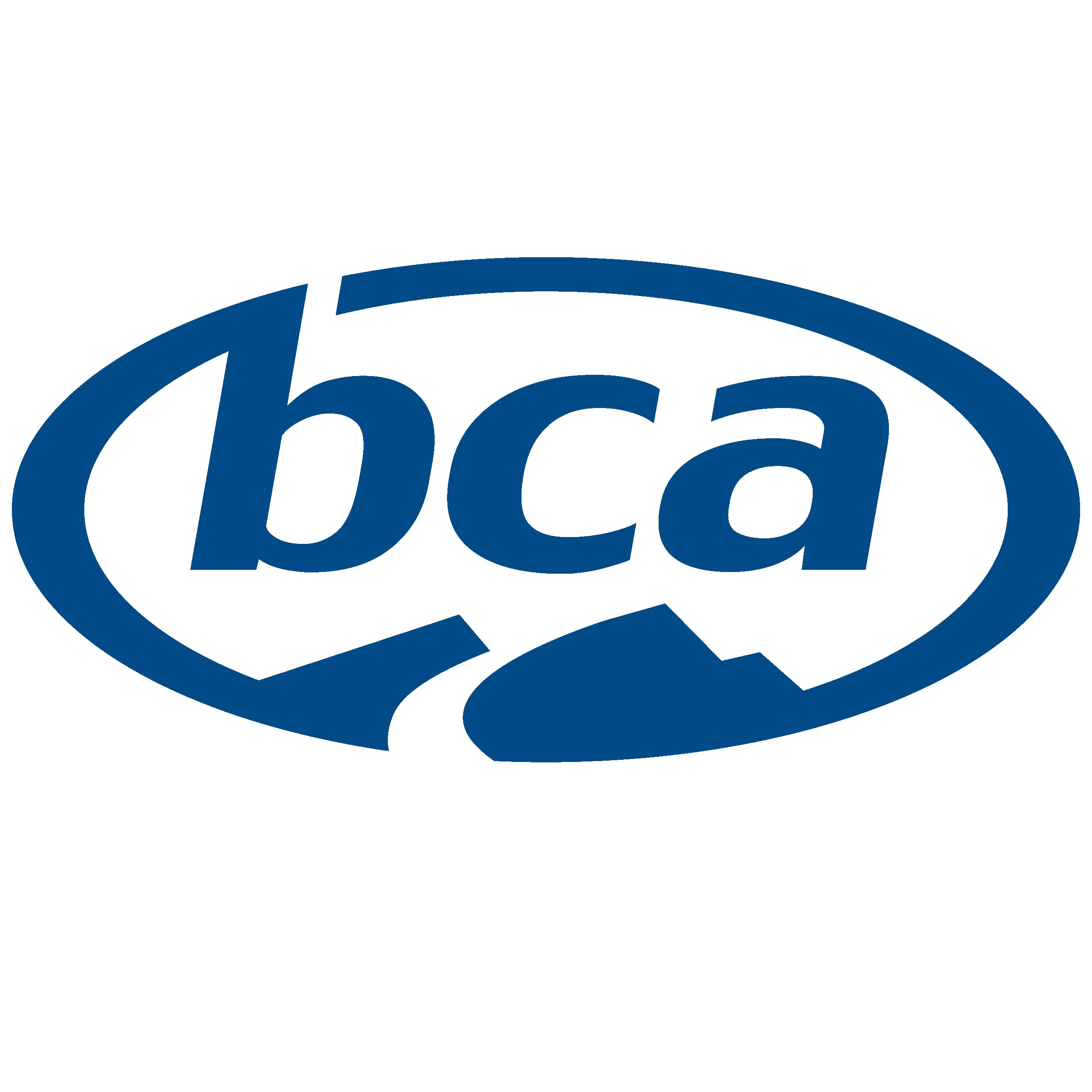 bca logo 10 free Cliparts Download images on Clipground 2022