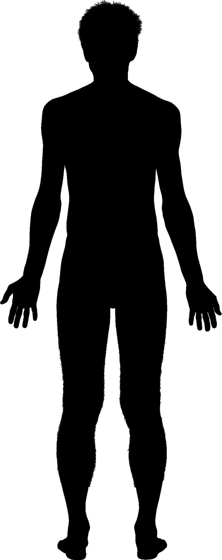 Body Silhouette Vector Art, Icons, and Graphics for Free.