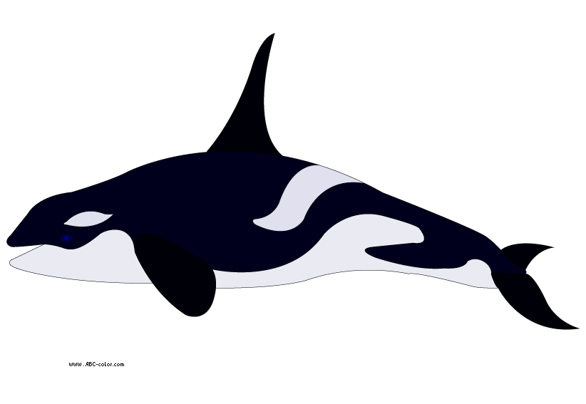 35+ Jpg Png Bmp Video Bokeh Full 2020