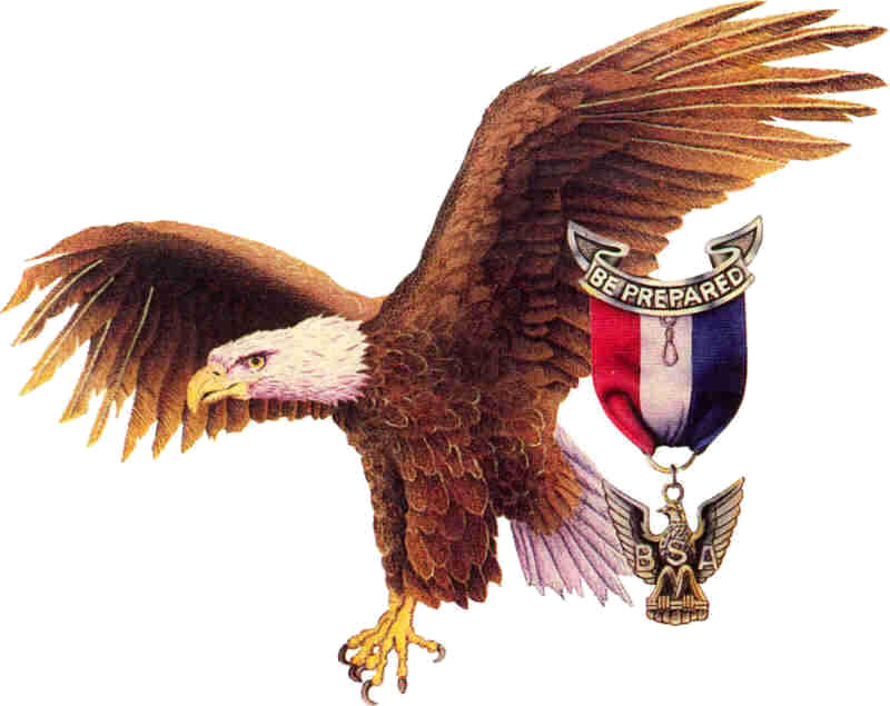 bsa clip art eagle 20 free Cliparts Download images on Clipground 2024