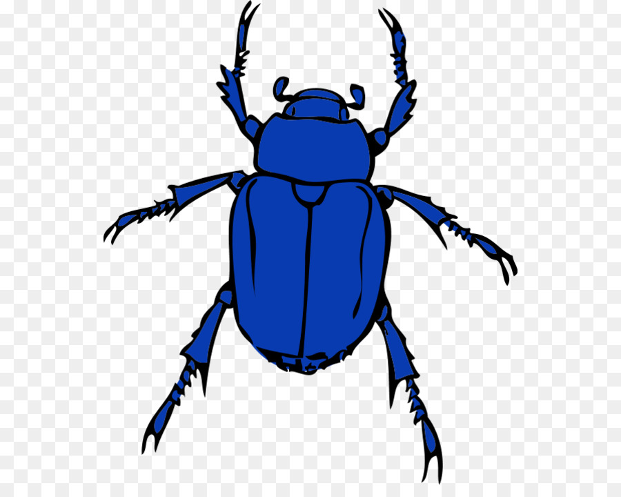 clipart beetle 10 free Cliparts Download images on Clipground 2024