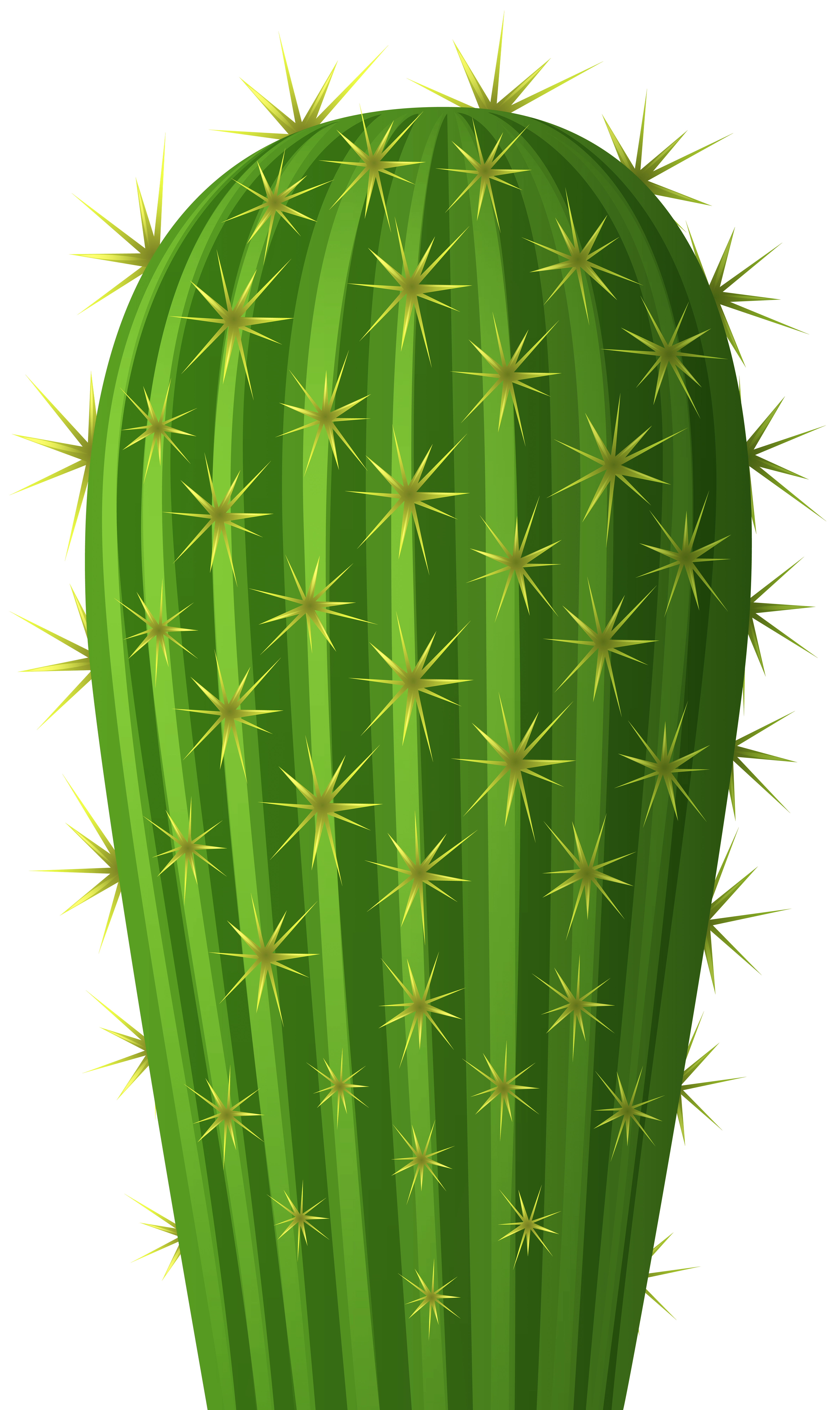 cactus png image 20 free Cliparts Download images on Clipground 2022
