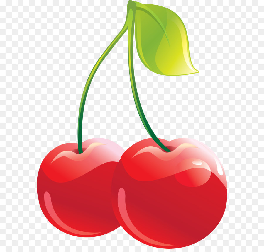 cherry vector png 20 free Cliparts Download images on Clipground 2024