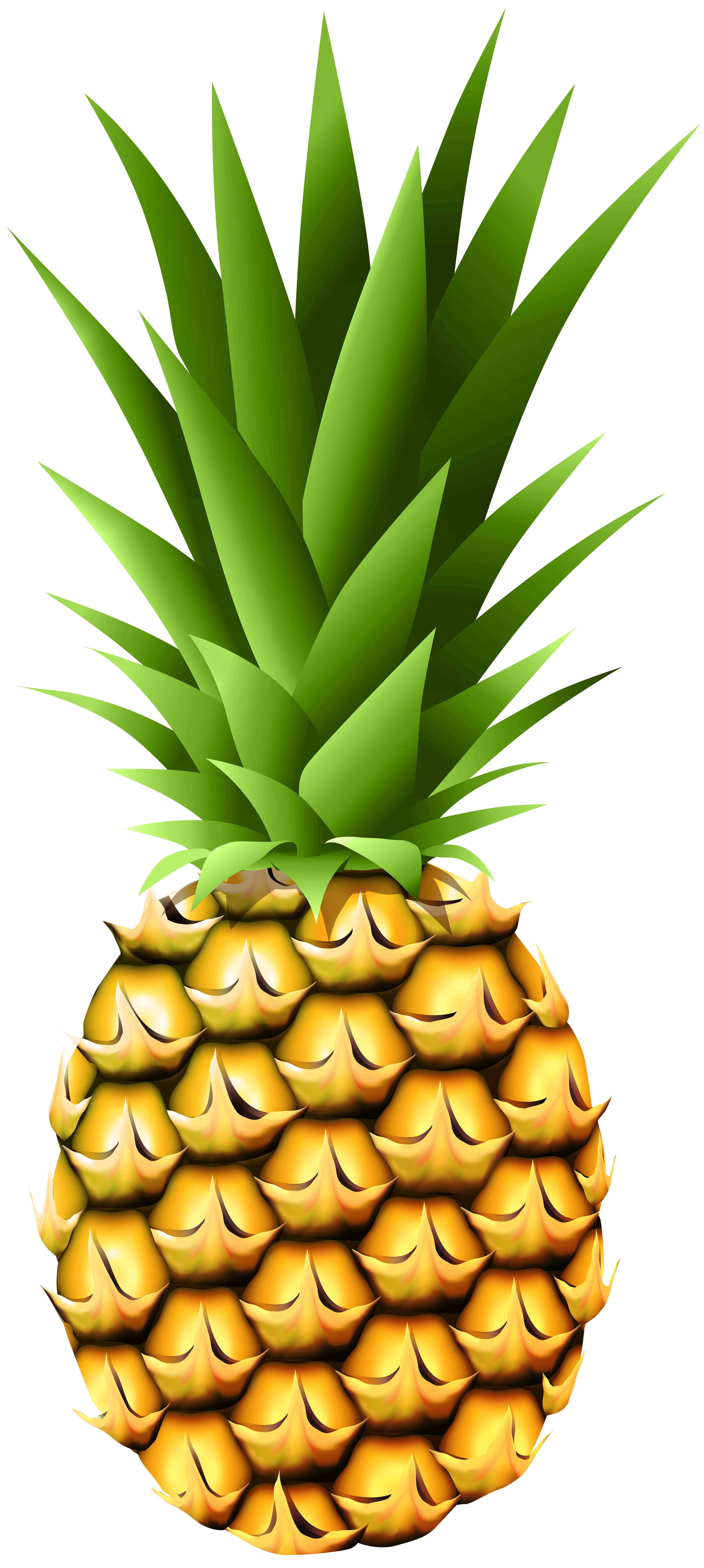 900+ Free Clip Art Royalty Free GoGraph