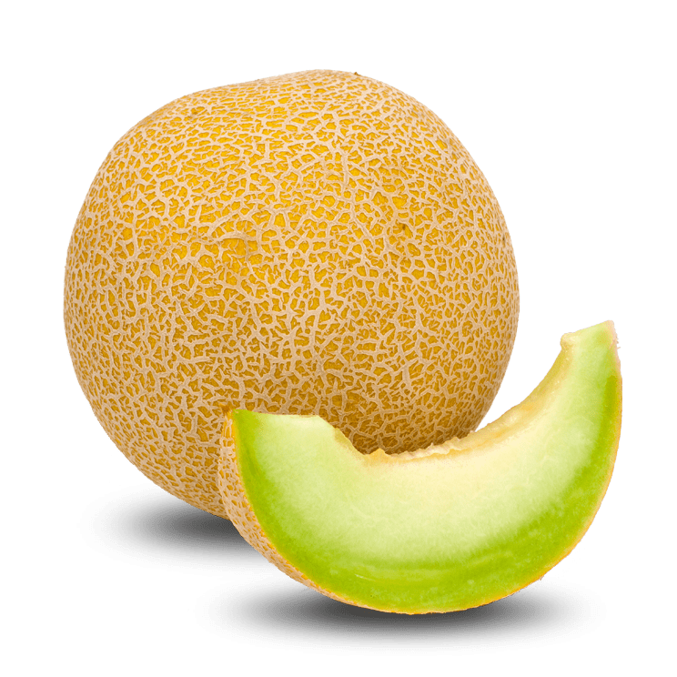 clipart melon 20 free Cliparts Download images on Clipground 2023