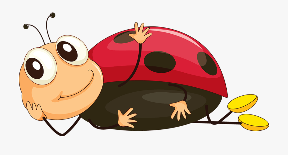 junebug clipart 10 free Cliparts Download images on Clipground 2021