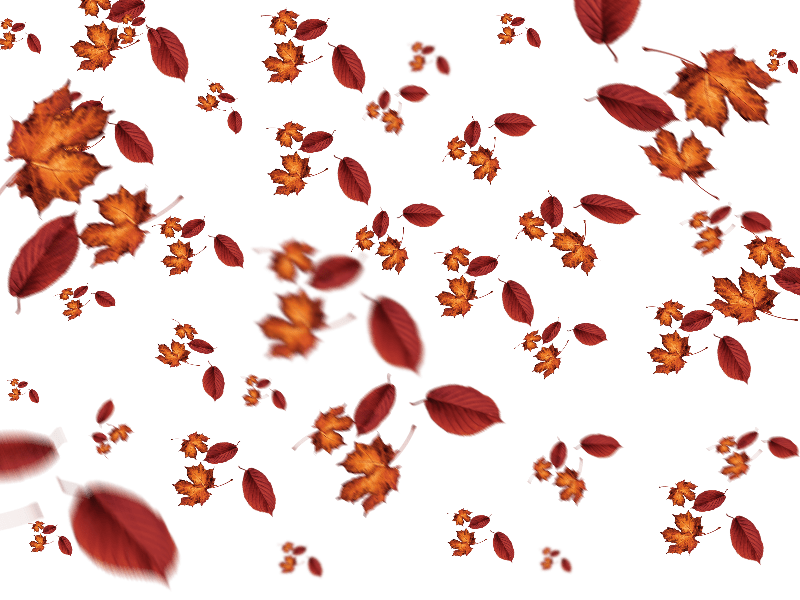 leaf overlay png 10 free Cliparts Download images on Clipground 2021