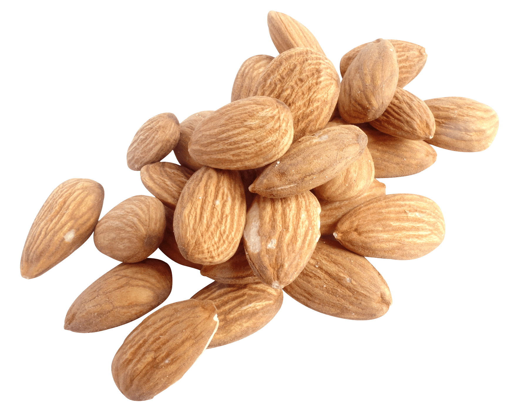 nut png 10 free Cliparts Download images on Clipground 2023