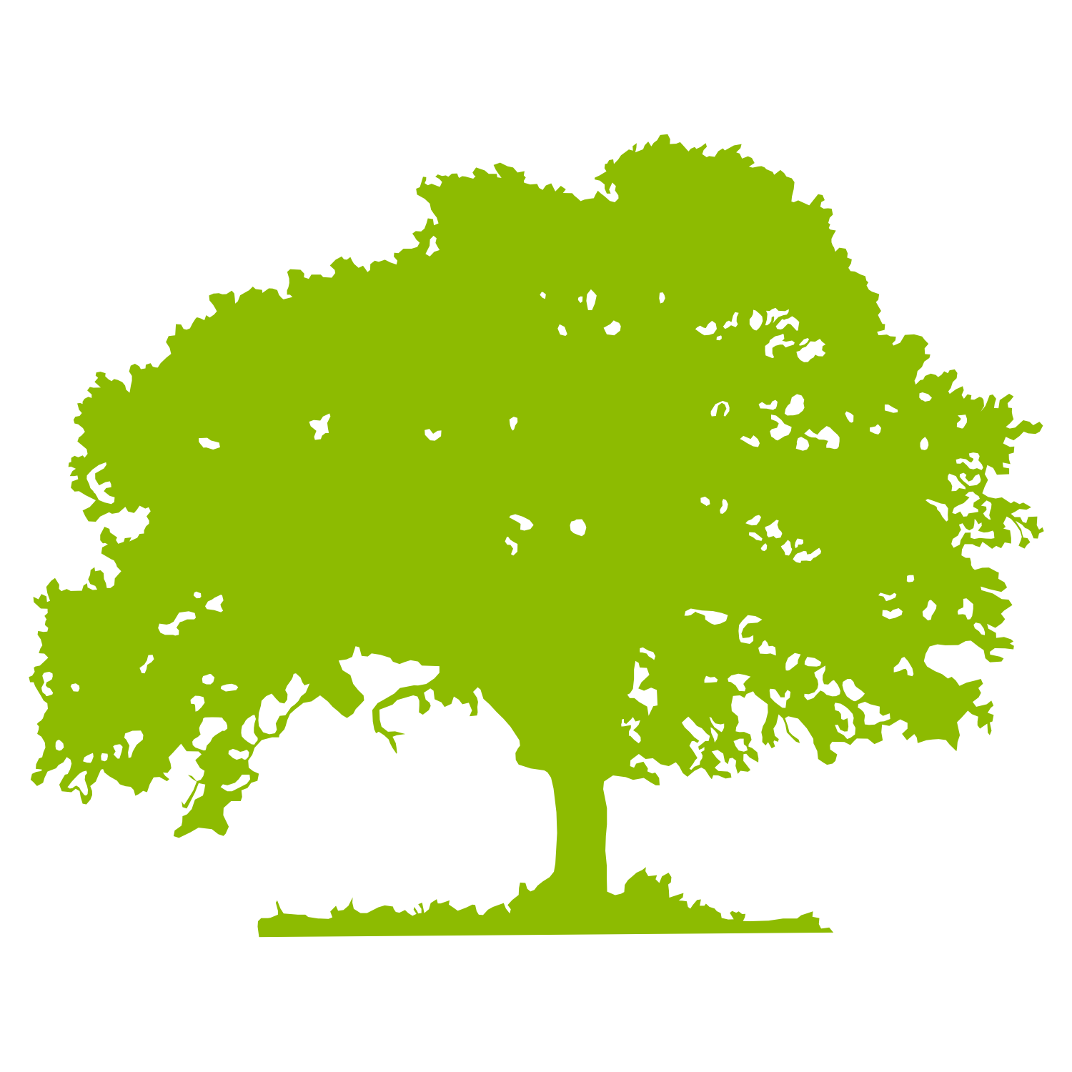 oak tree vector clipart 10 free Cliparts Download images on