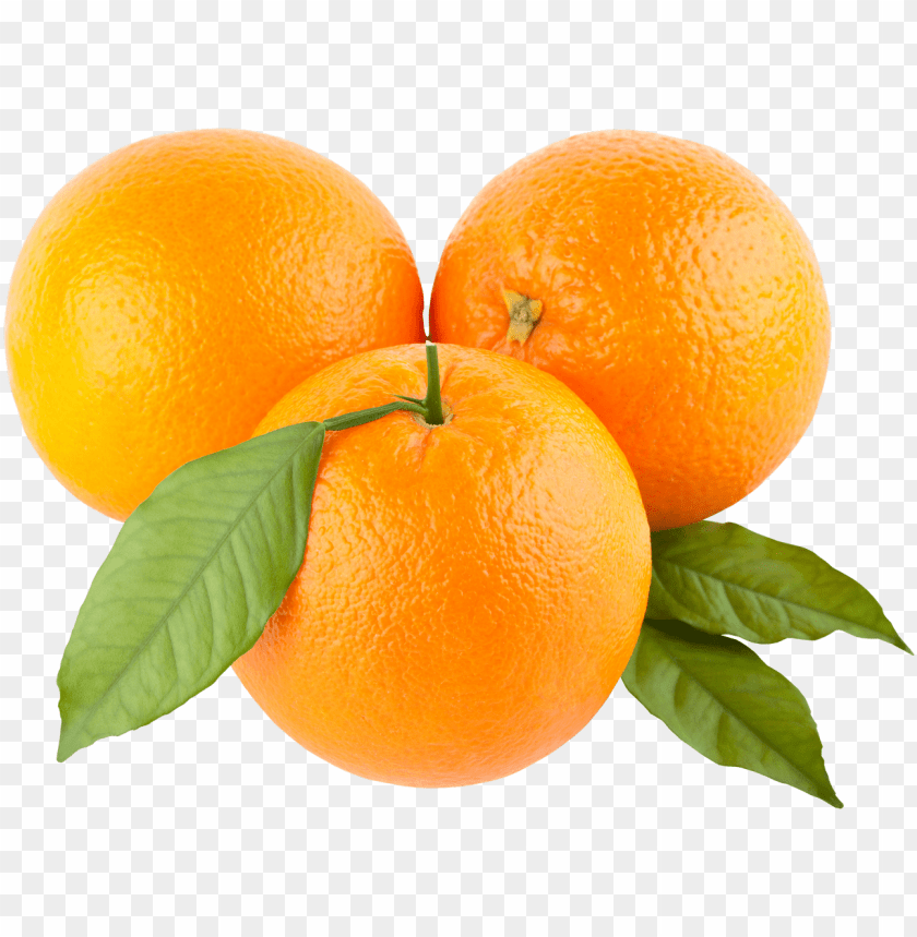 oranges png 10 free Cliparts Download images on Clipground 2024