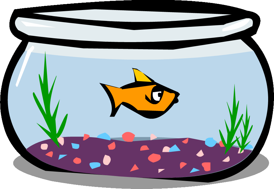 pet fish clipart 10 free Cliparts Download images on Clipground 2021