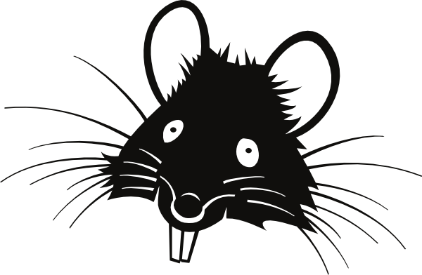 rat clipart transparent Clipground