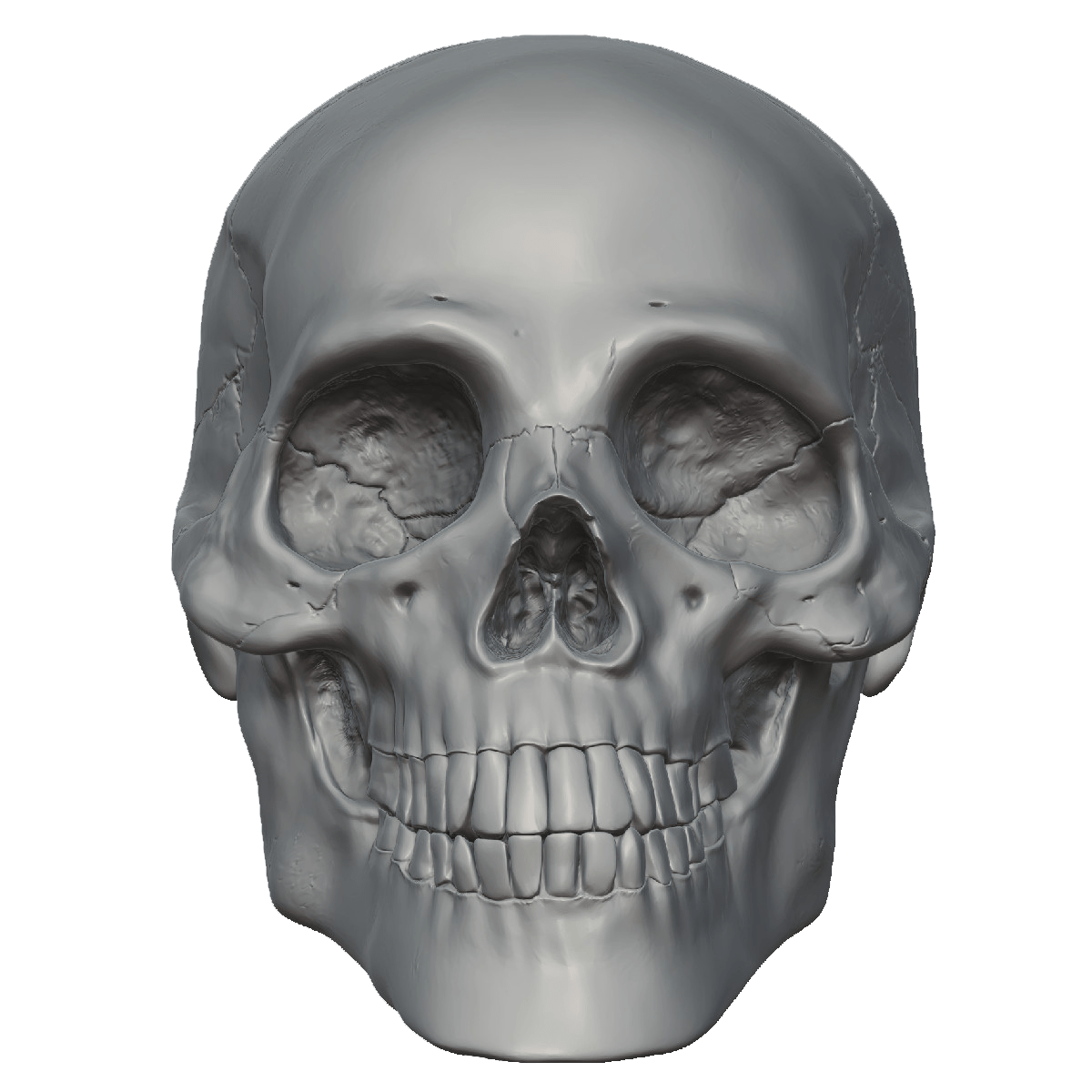skeleton face png 10 free Cliparts Download images on Clipground 2021