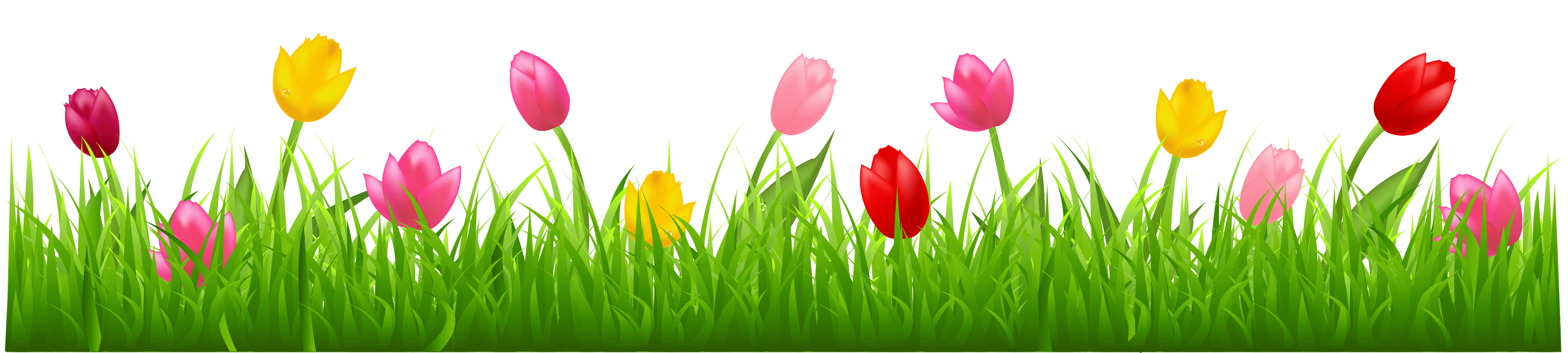 tulip clipart border 10 free Cliparts Download images on Clipground 2024