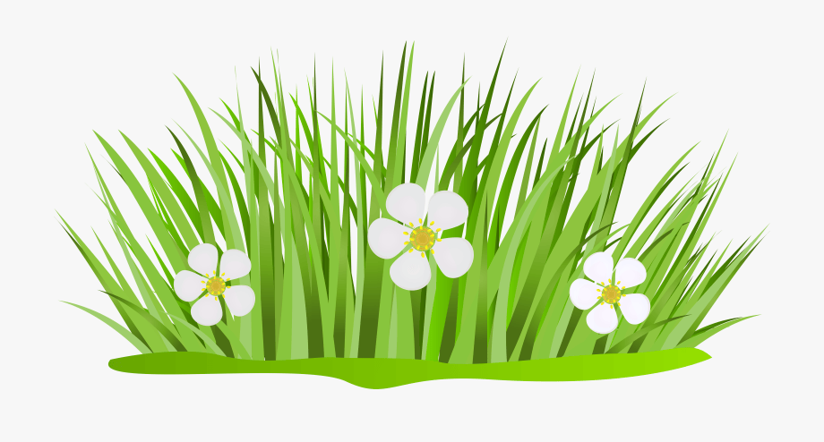 wiese clipart 10 free Cliparts Download images on Clipground 2021