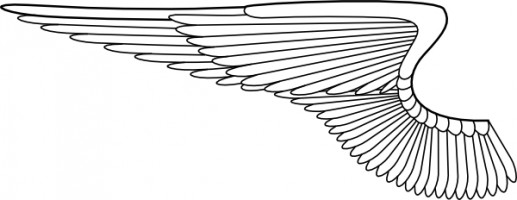Wings clipart Clipground