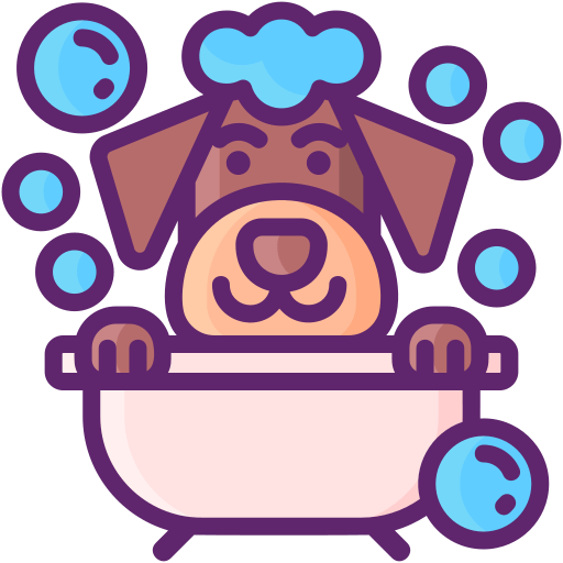 Professional Dog Grooming Services In Paisley The Clip Joint