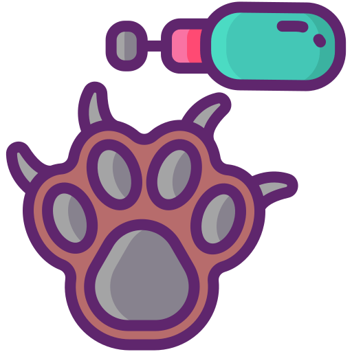 Complete Cat Grooming Services In Paisley The Clip Joint