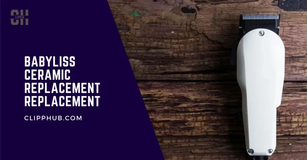 Why are my Babyliss Clippers so loud ( NOISY Trimmer Fix)