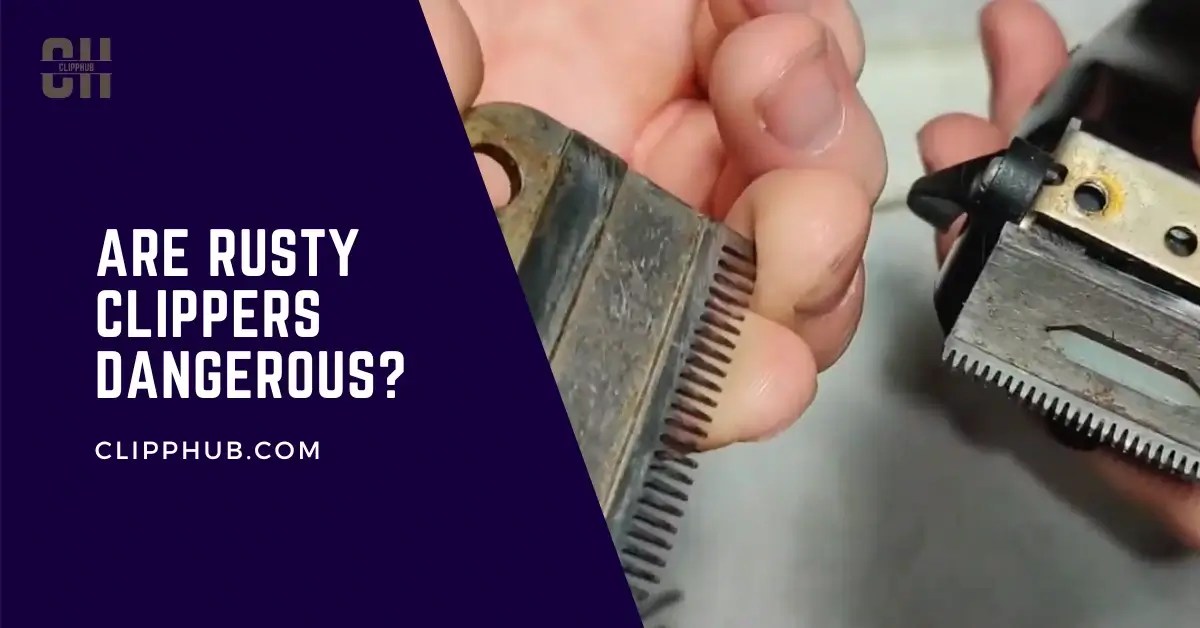 Are Rusty Clippers Dangerous? (RUSTING clipper Truths)