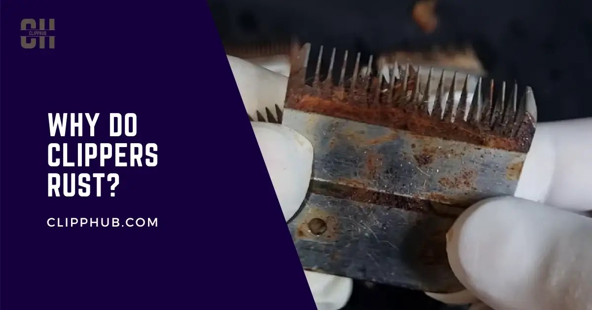 Why Do Hair Clipper Rust? (Expert Tips and Tricks)