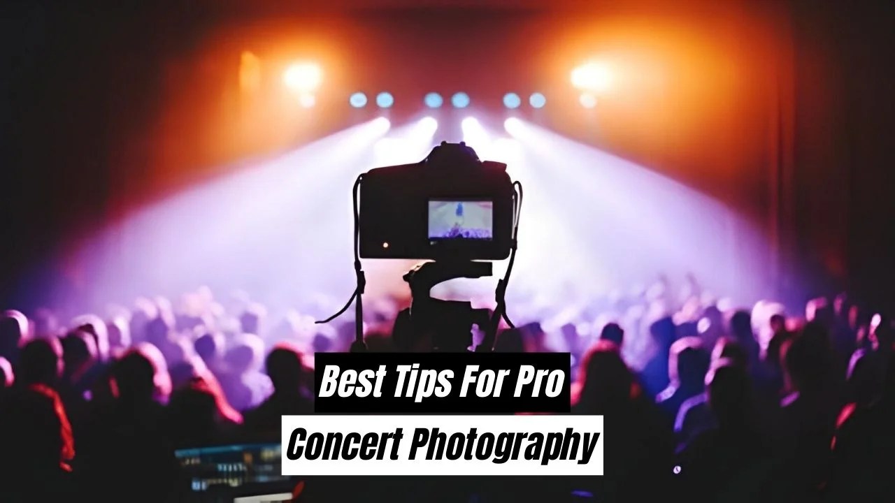 Discovering the Ultimate Camera for Concert Photography