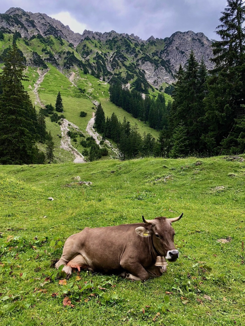 No tough times in Germany.