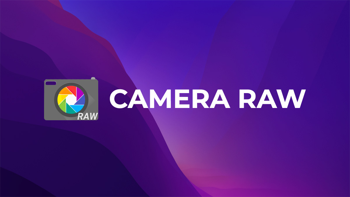 Adobe Camera Raw Free Download Install Camera Raw PlugIn