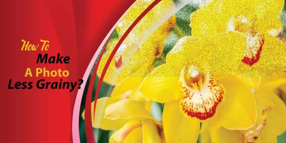 How To Make A Photo Less Grainy? Clipping Path Graphics