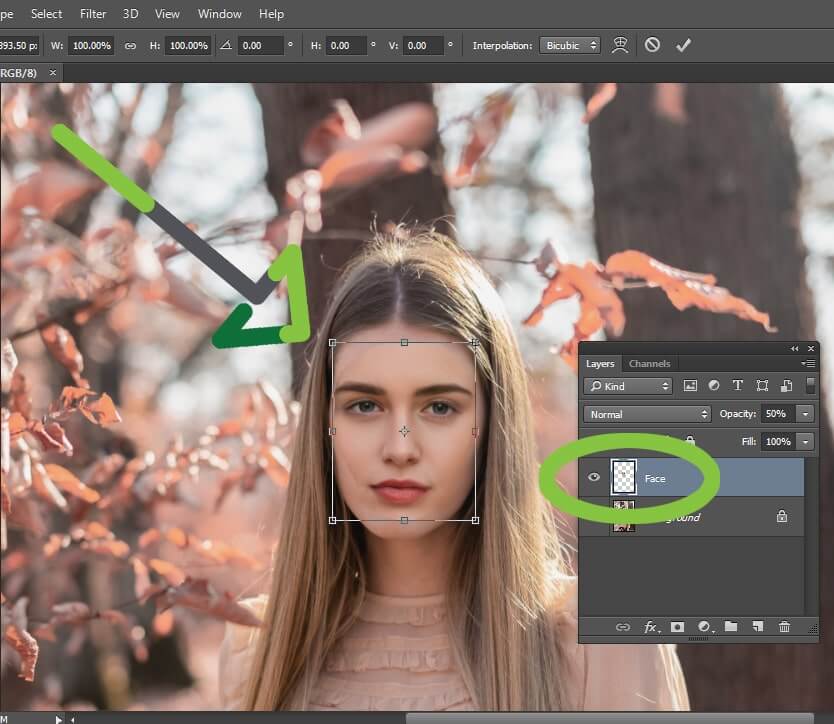 How to Swap Faces in Clipping Path Mania