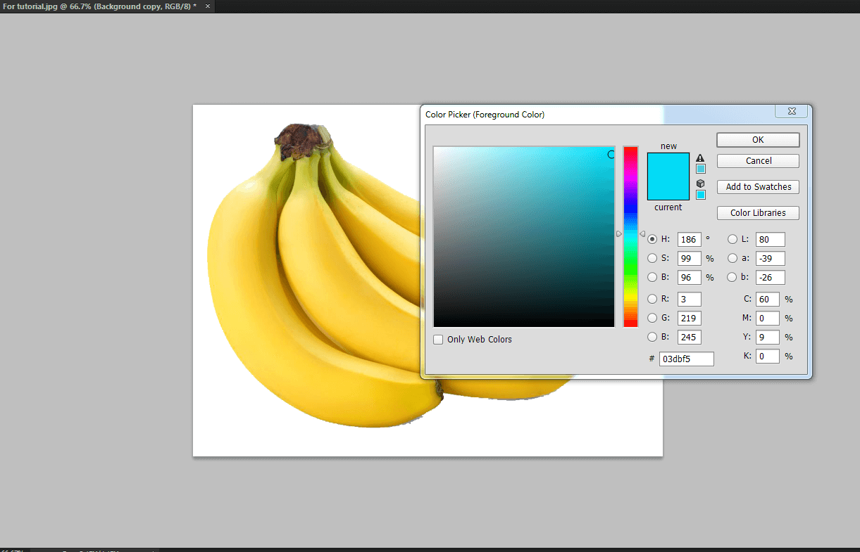How to use magic wand tool in photo editor roboholoser