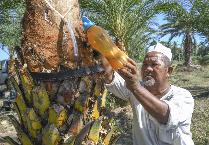 Lagi sedap daripada nira kelapa! Warga Bangladesh cetus idea hasilkan