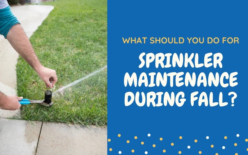 What Should You Do For Sprinkler Maintenance During Fall?