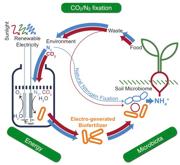Electrochemical interfaces for energy, biology, and environment The Chong Liu Lab UCLA
