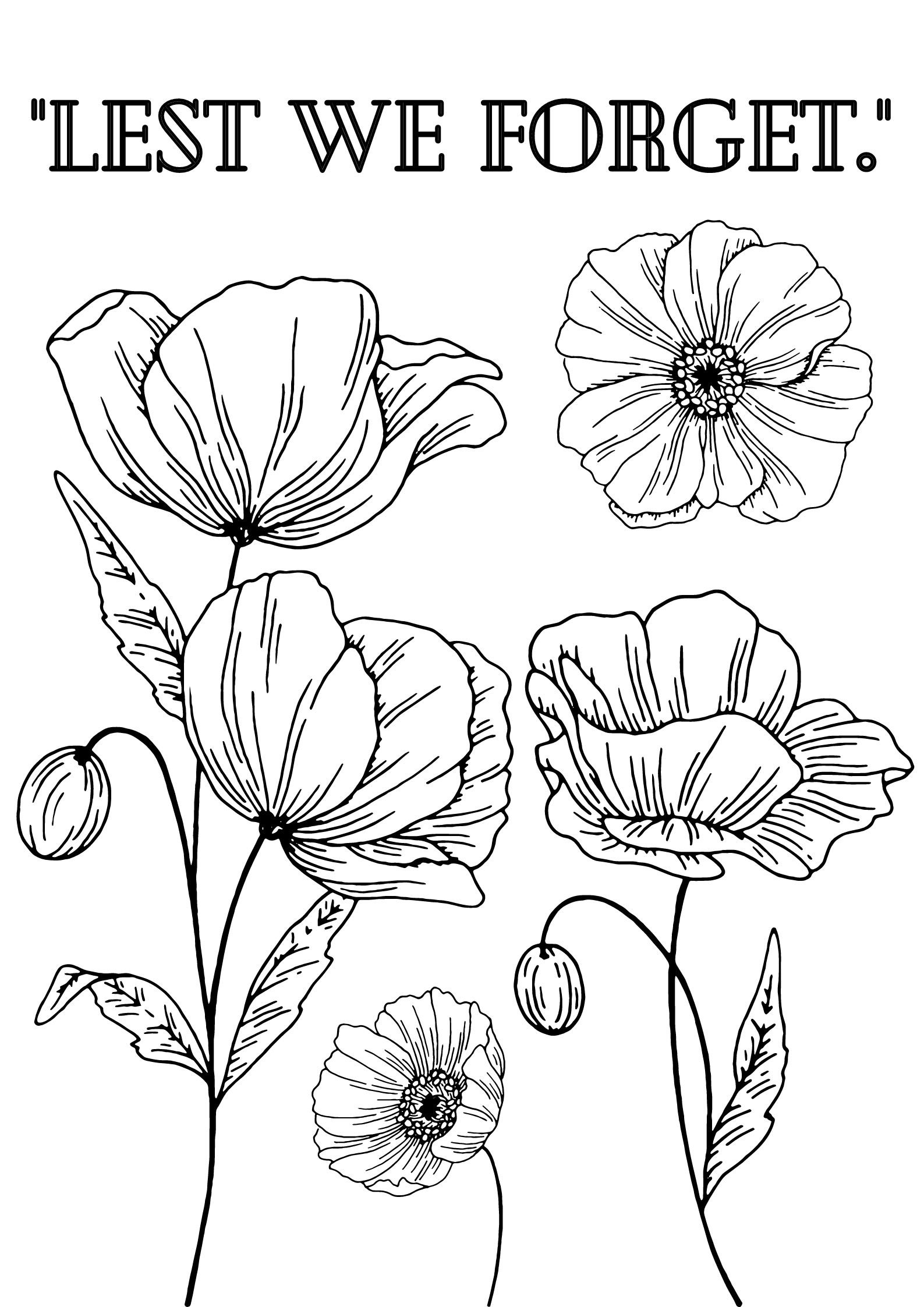 Remembrance Day Activities {PDF} Curious Little Monkeys Educational