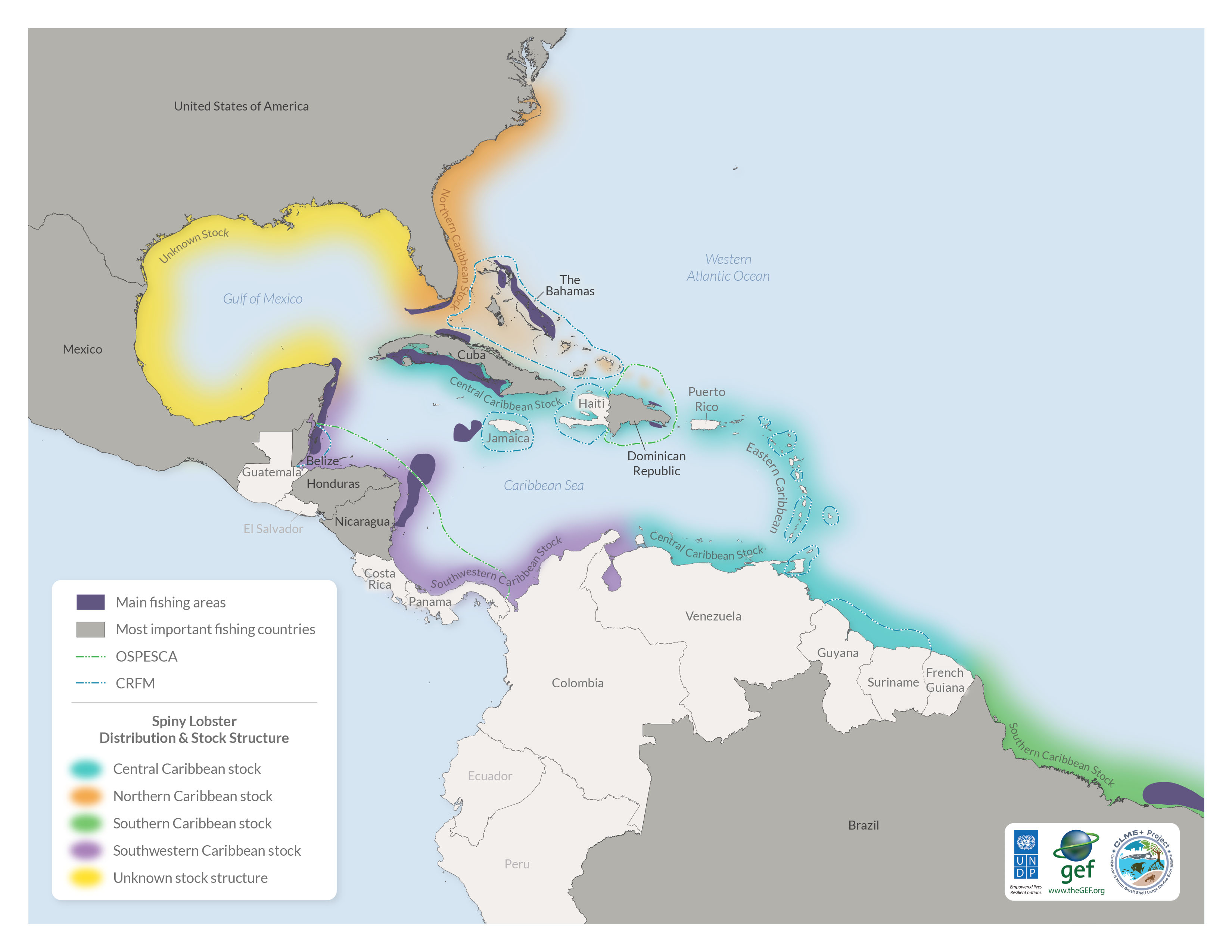 Spiny Lobster Distribution, Major Fishing Areas and Stock Structure Map
