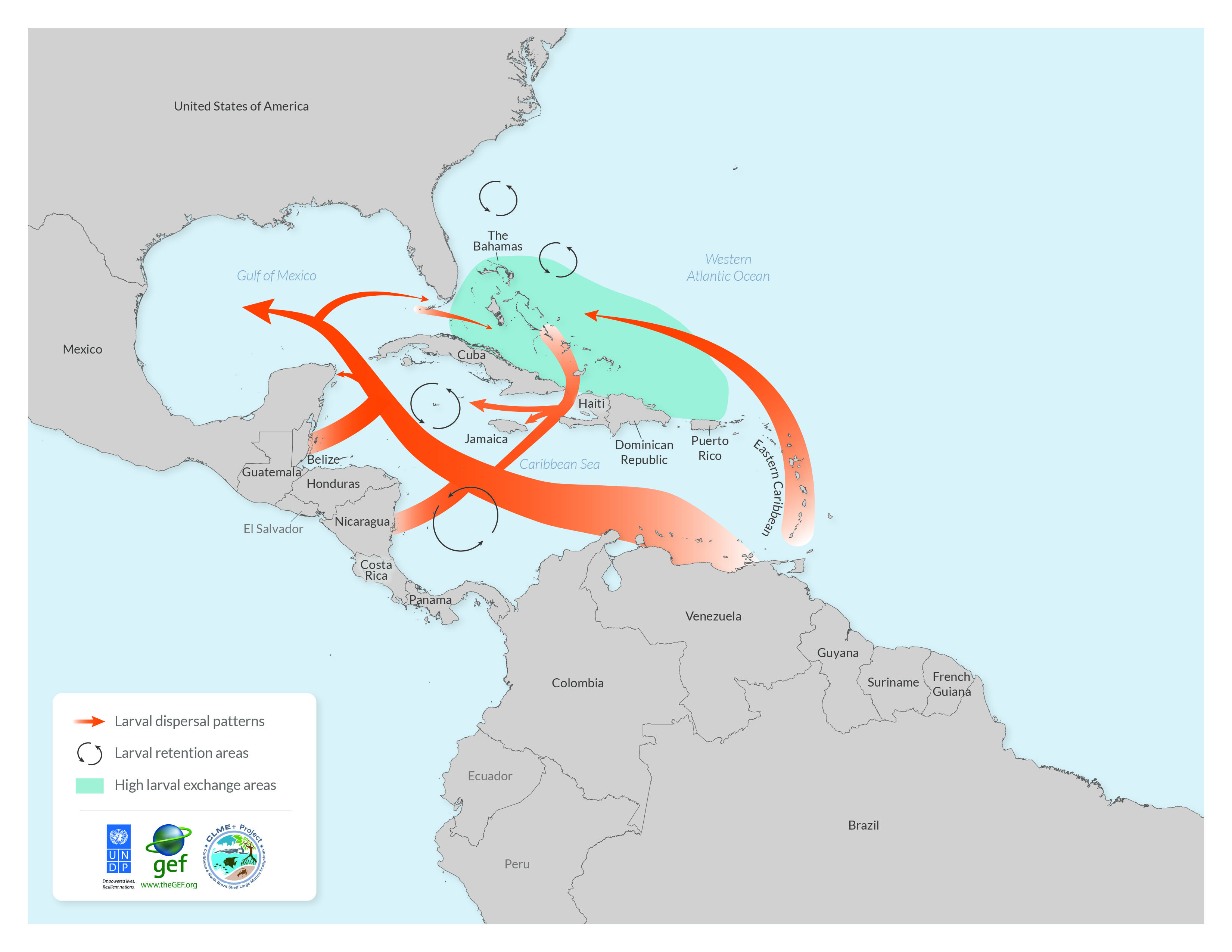 Caribbean Spiny Lobster Larval Dispersal Patterns and Larval Retention