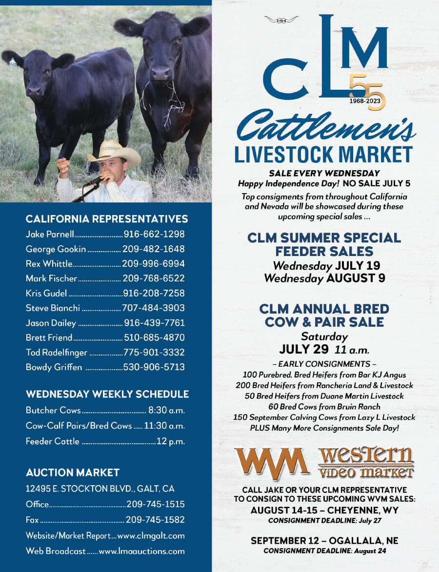 Sales Cattlemen's Livestock Galt