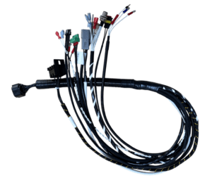 Custom Wire Harness Assembly Manufacturer