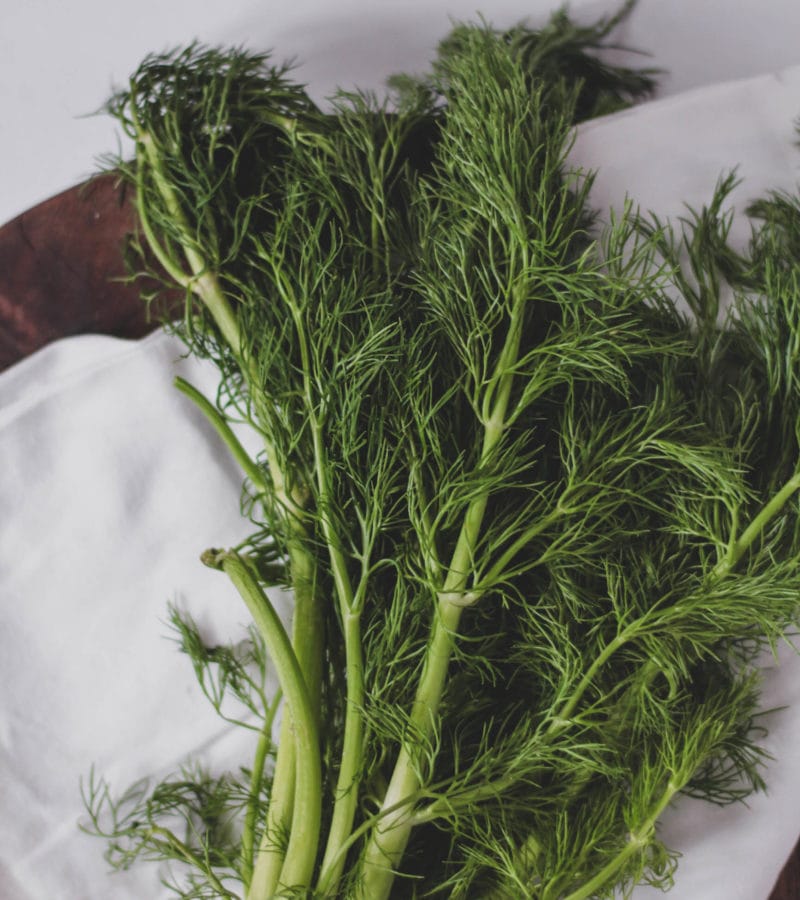Radicchio, fennel, + apple fall salad with tahini dressing Closed