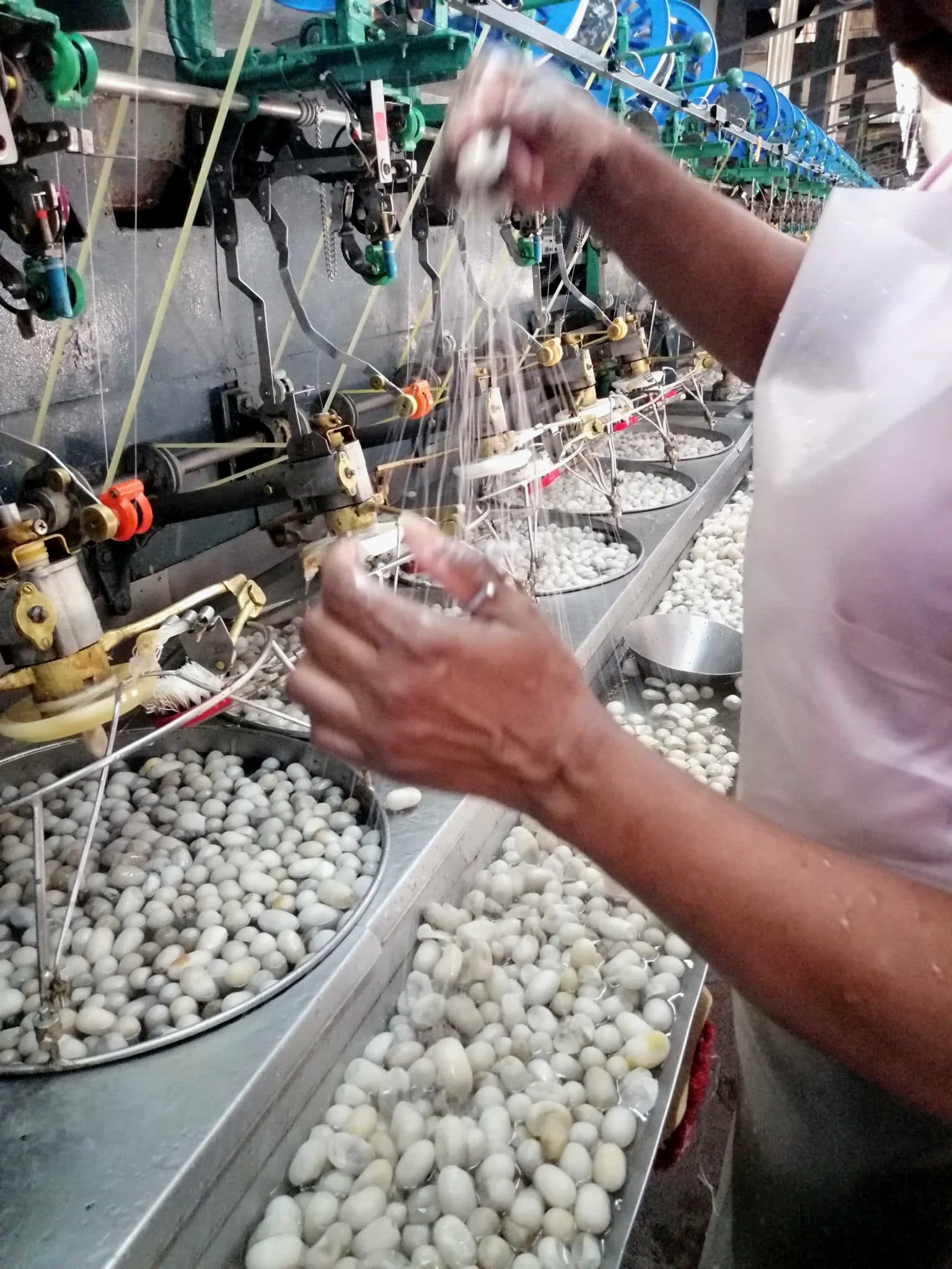 Rethinking sericulture and silk producing supply chains in Brazil