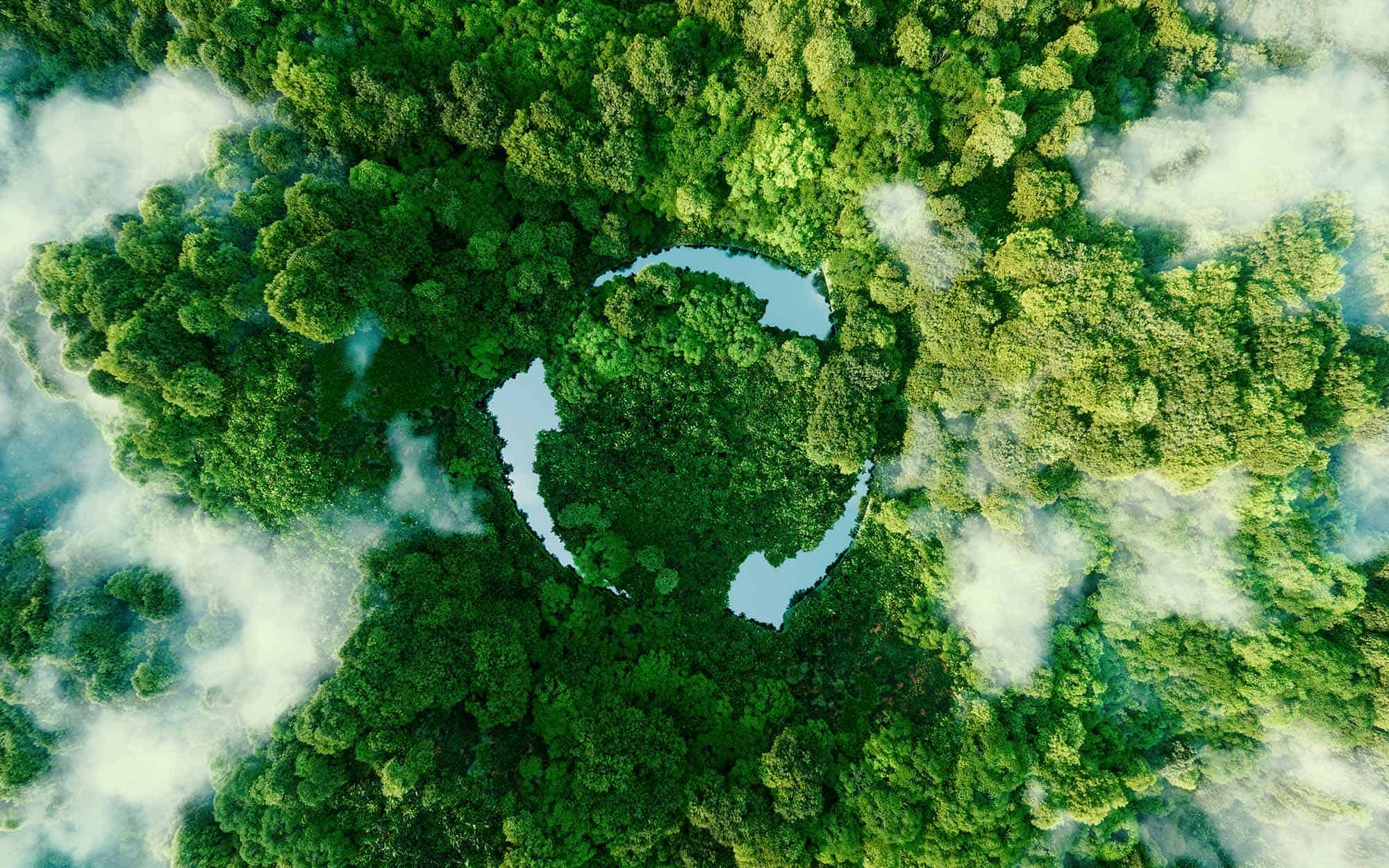 The Importance of Environmental Sustainability CLR