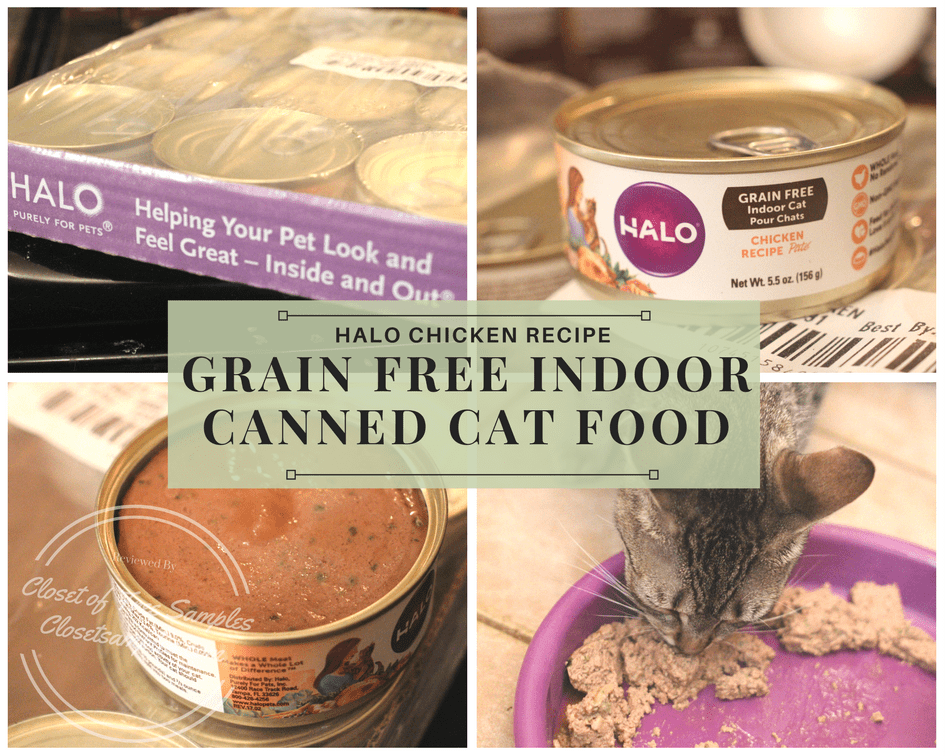 Halo Chicken Recipe GrainFree Indoor Cat Canned Cat Food from Chewy