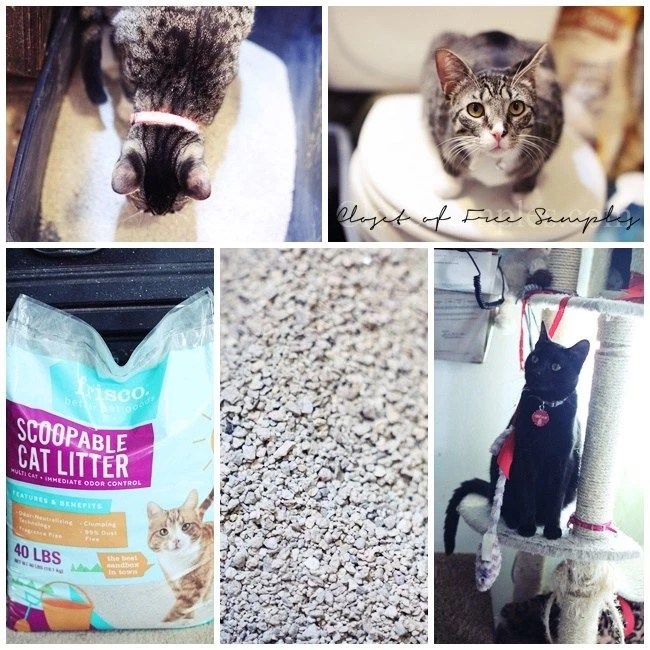 Frisco MultiCat Clumping Cat Litter on Review Closet of