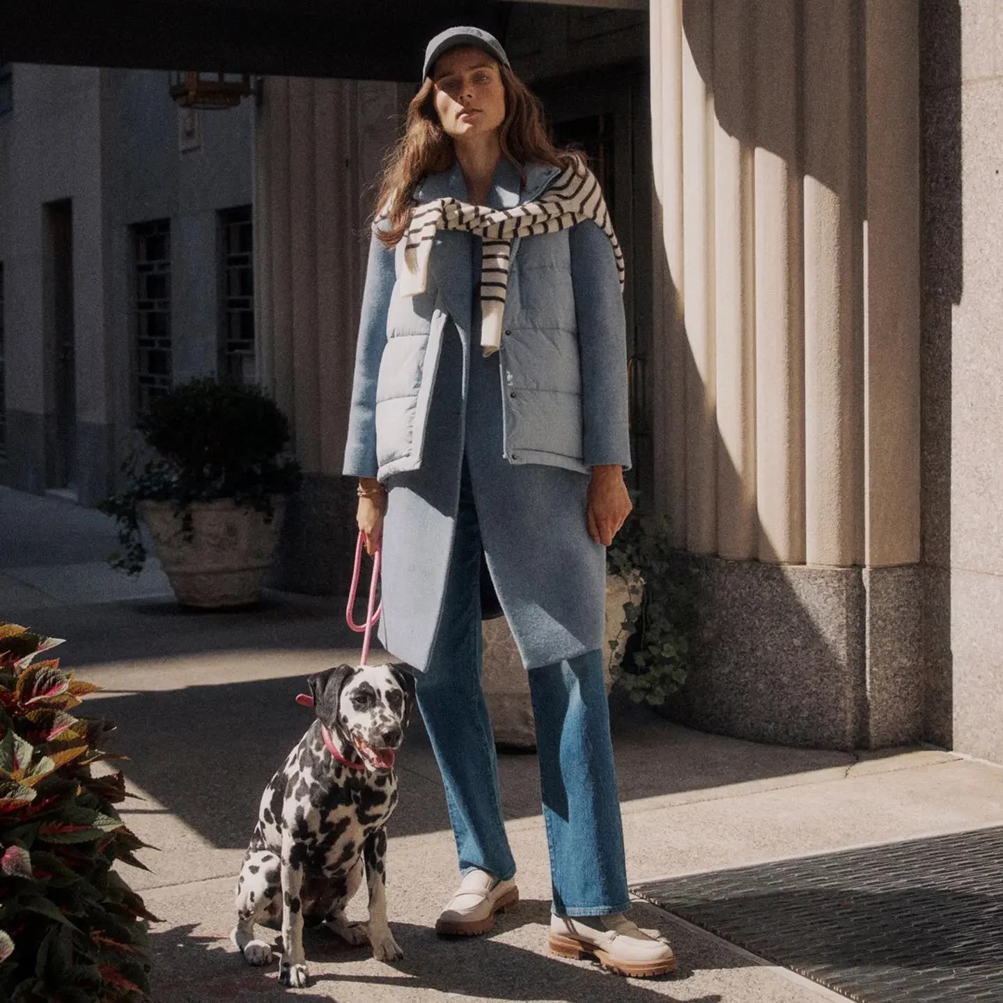 Everlane vs. Madewell How Do They Compare? ClothedUp